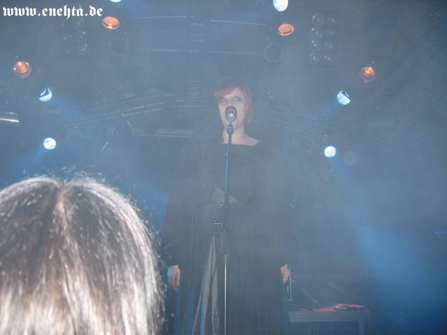 Lame Immotrelle vom 20.02.2008-018.jpg